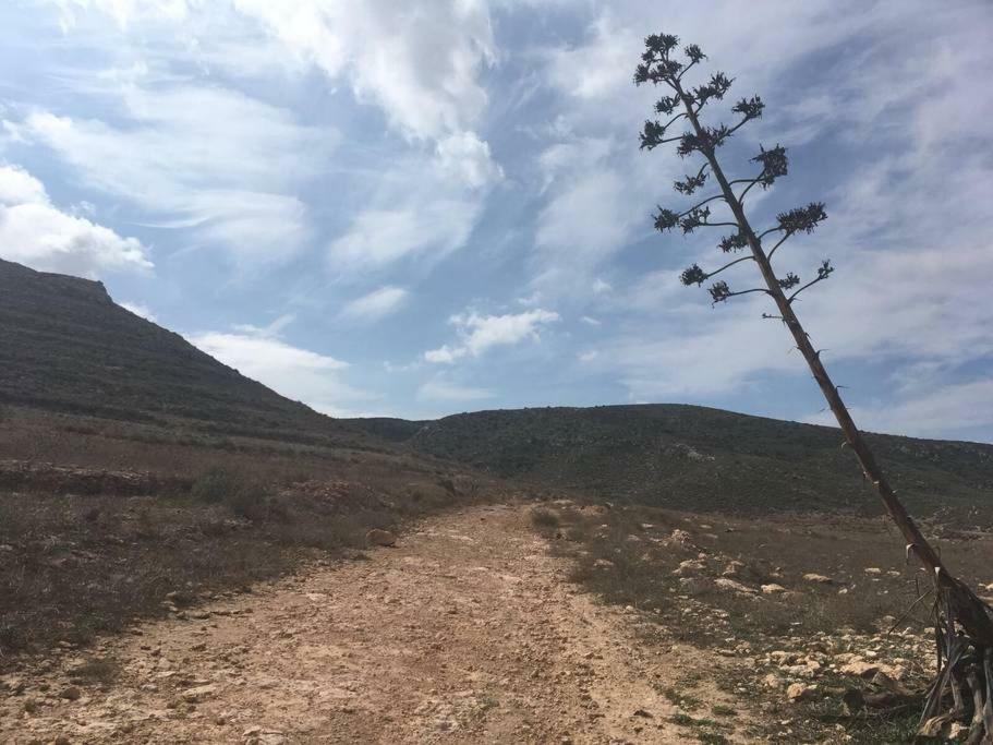Cortijo Los Garridos - 8 Huespedes Fernan Perez Ngoại thất bức ảnh