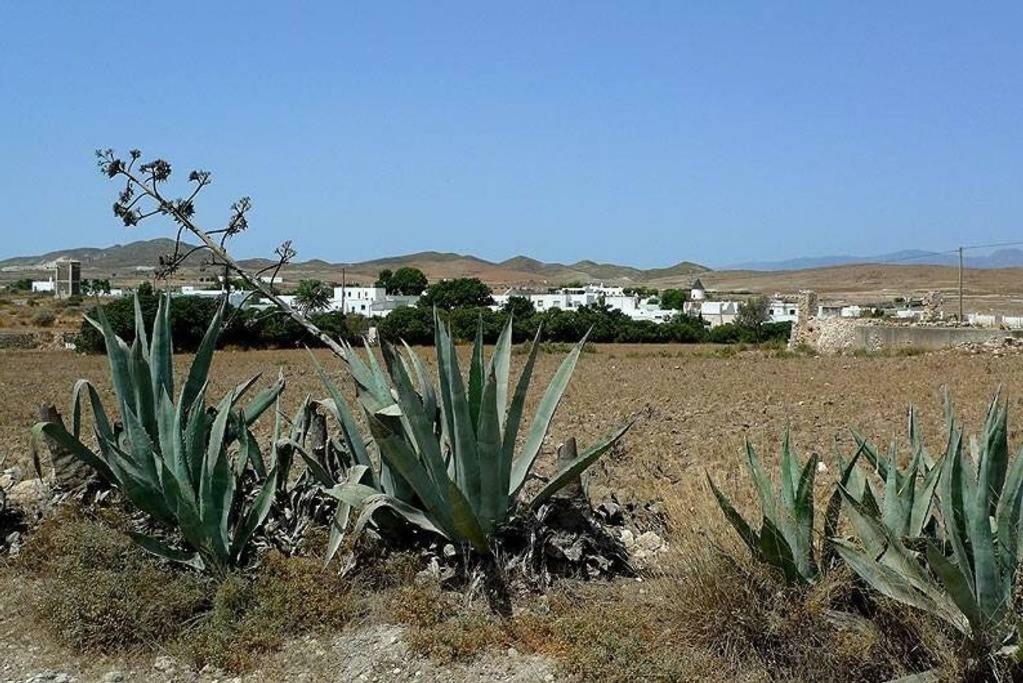 Cortijo Los Garridos - 8 Huespedes Fernan Perez Ngoại thất bức ảnh